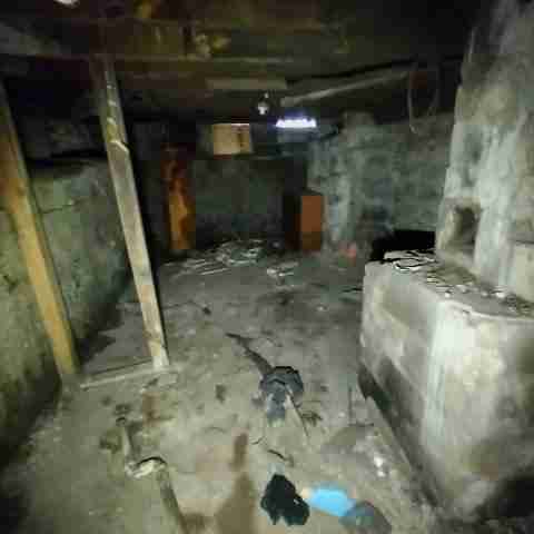 8031 conger (75).jpg